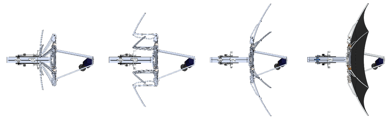 A DREX deployment sequence